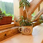 Affittacamere Josefova Bouda -resort Svaty Frantisek