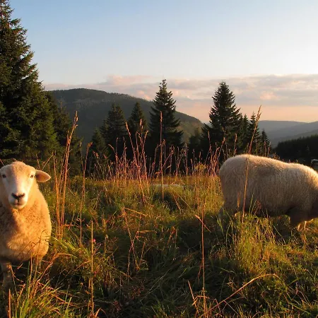 Gæstehus Josefova Bouda -resort Svaty Frantisek 4*