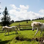 Casa de hóspedes Josefova Bouda -resort Svaty Frantisek Špindlerŭv Mlýn