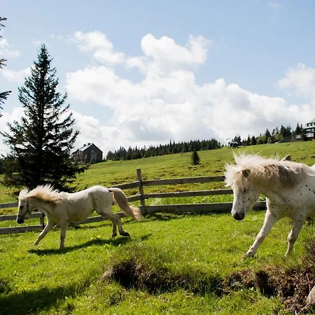 Vendégház Josefova Bouda -resort Svaty Frantisek Špindlerŭv Mlýn