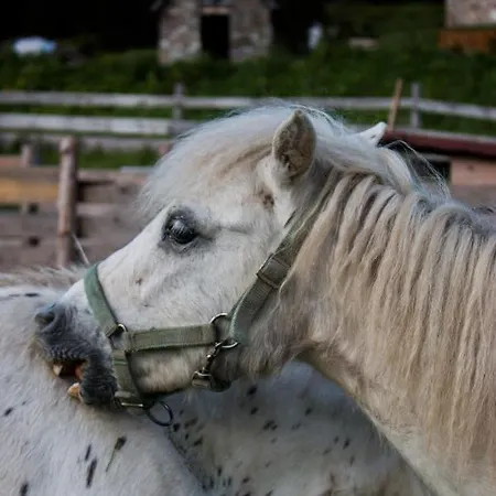 Pensjonat Josefova Bouda -resort Svaty Frantisek Szpindlerowy Młyn