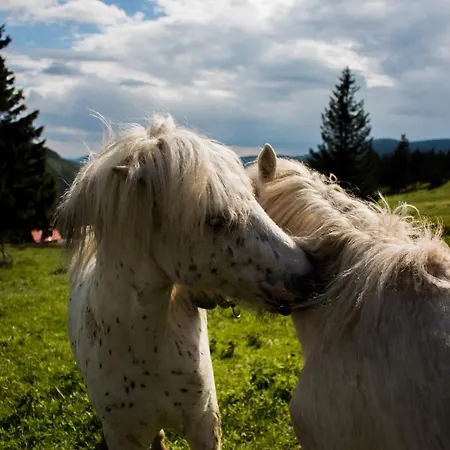Josefova Bouda -resort Svaty Frantisek Pensjonat