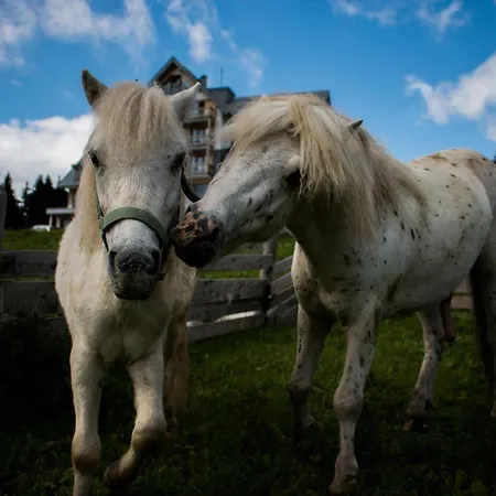 Josefova Bouda -resort Svaty Frantisek Szpindlerowy Młyn