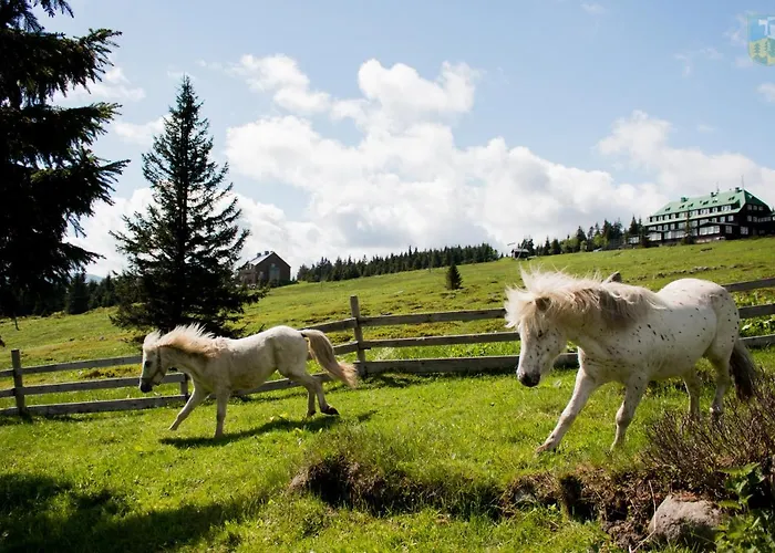 Gæstehus Josefova Bouda -resort Svaty Frantisek Špindlerŭv Mlýn