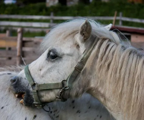 Gæstehus Josefova Bouda -resort Svaty Frantisek Špindlerŭv Mlýn