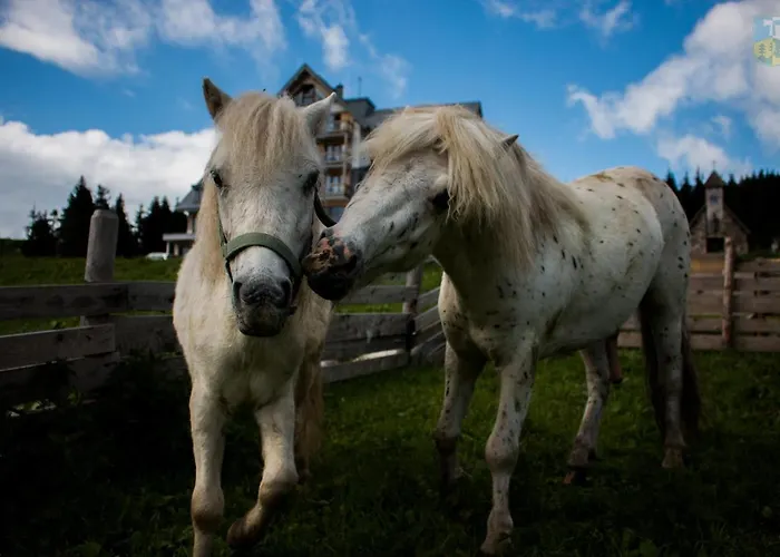 Josefova Bouda -resort Svaty Frantisek Špindlerŭv Mlýn